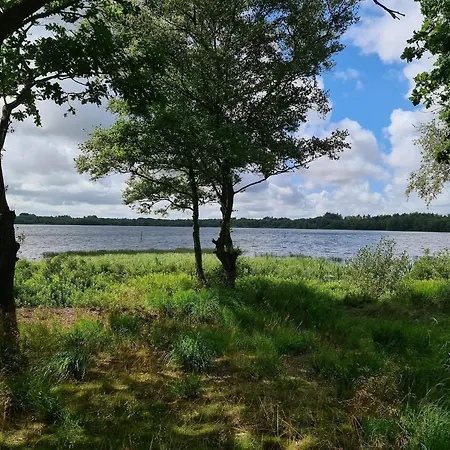 10 Person In Ansager